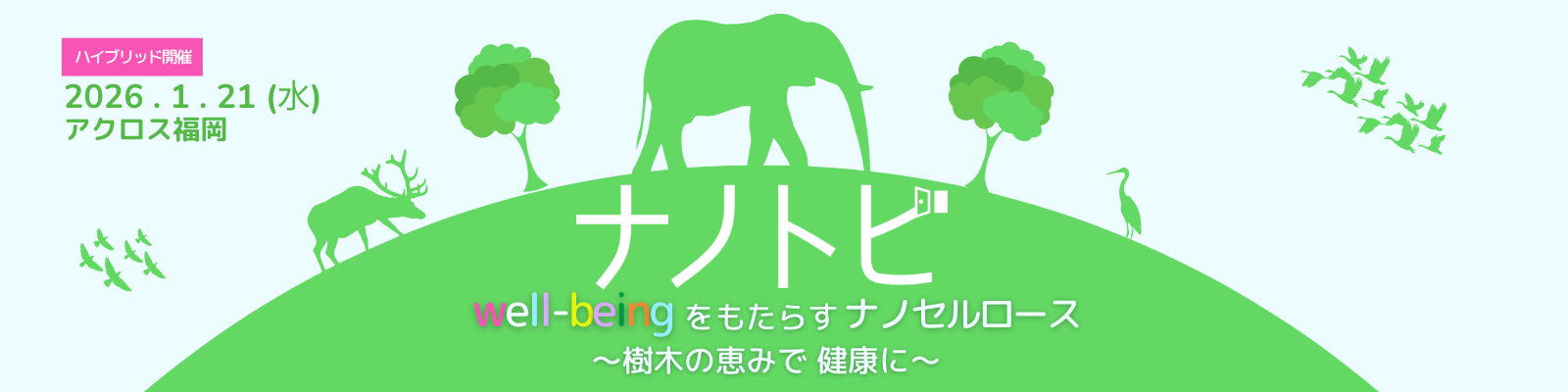 ナノトビ イベント情報